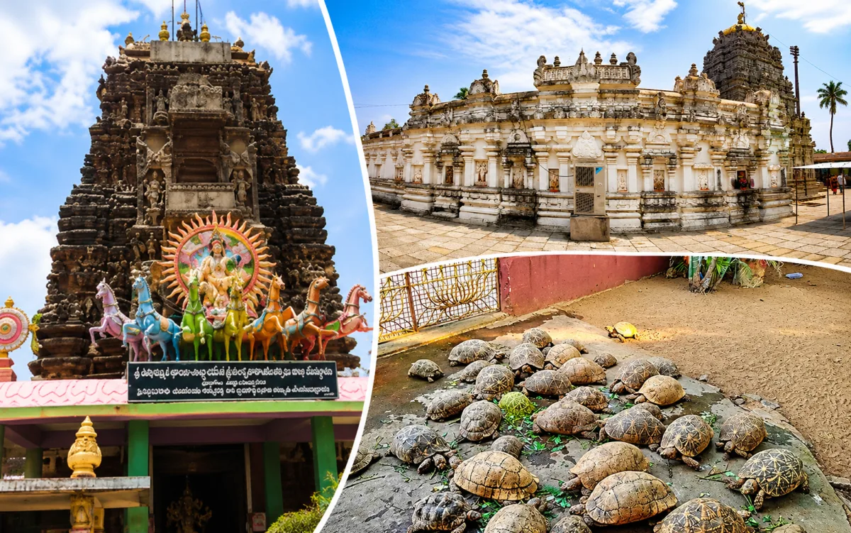 Vizag to Srimukhalingam Temple Tour